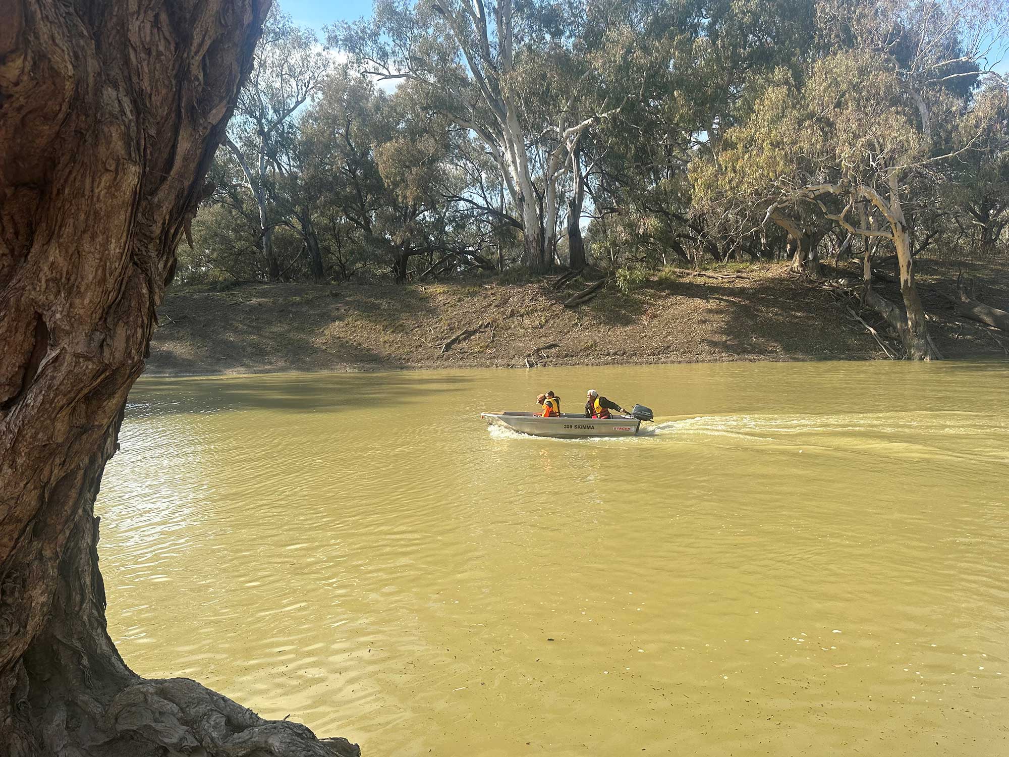 Ranger Team Mapping Tea Trees