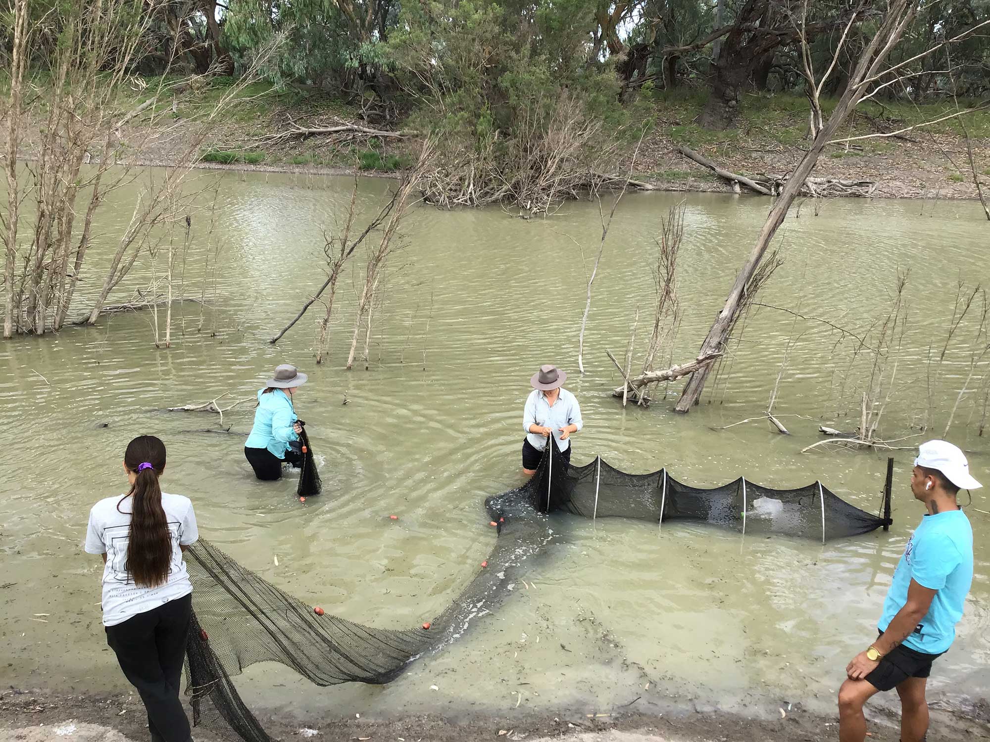 turtle survey in the Baawan February 2023